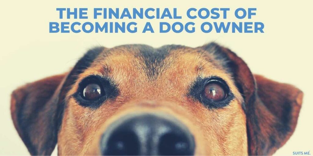 medium sized brown, tan dog with his nose in the camera and focus on the eyes. Blue text